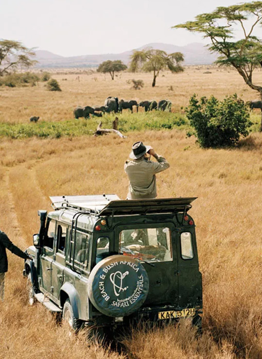Safari